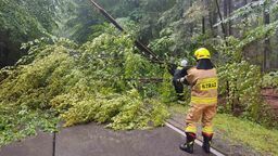 Jedna z poniedziałkowych strażackich interwencji w powiecie zamojskim