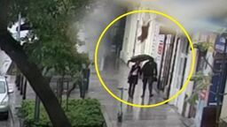 Owczarek najwidoczniej przeraził się burzy, a był sam w domu. Wyskoczył przez balkon 