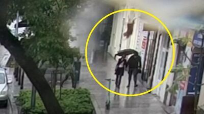 Owczarek najwidoczniej przeraził się burzy, a był sam w domu. Wyskoczył przez balkon 