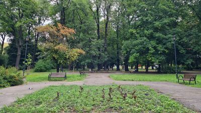 Park Bronowicki doczeka się remontu. Poszukiwany jest jego wykonawca
