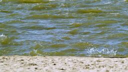 Kąpielisko zostało zamknięte po badaniach wody w ubiegłym tygodniu