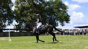 Rumaki, klacze i źrebaki. Koński weekend w Sitnie