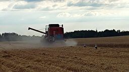 Kombajn wciągnął rękę rolnika