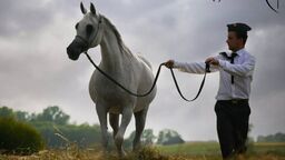 Stadnina się zamyka. Na wielką aukcję trzeba się przygotować