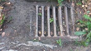 Do kanalizacji deszczowej dostaje się nie tylko woda z opadów. Zdarza się także, że trafi tam ziemia, gałęzie lub liście płynące wraz z nurtem wodnym i przez to studzienki się zapychają. 