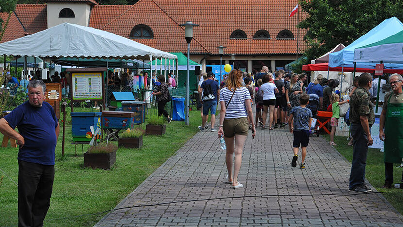 Dni Otwarte RPN odbywać się mają m.in. przy OEM na ul. Plażowej 