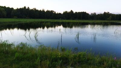 W planach jest wybudowanie tu multimedialnego centrum przyrodniczo-edukacyjnego