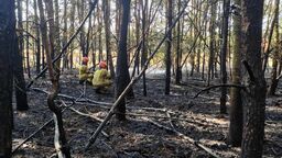 Płonął kolejny kombajn, zboże i las