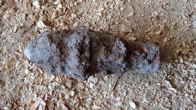 Wojenny pocisk w przydomowym ogrodzie 