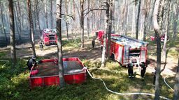 Trudna akcja gaszenia pożaru lasu. Ucierpiał strażak 