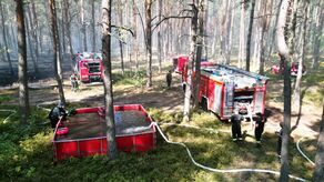 Trudna akcja gaszenia pożaru lasu. Ucierpiał strażak 