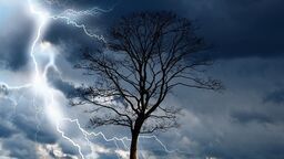 Burze, silny wiatr i ulewny deszcz. Alert RCB dla Lubelskiego 