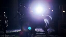 "Dewastacja hodowli" za rządów PiS. Prokuratura przygląda się wnioskom z audytu 