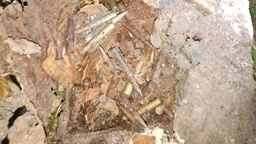 W znalezionej skrzyni znajdowało się około 15 kg skorodowanej amunicji