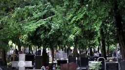 Tragedia na cmentarzu przy ulicy Lipowej w Lublinie
