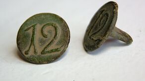 Małe, a cenne. Guziki rzucają nowe światło na bitwę pod Dubienką