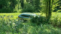 Stracił panowanie nad pojazdem i uderzył w drzewo