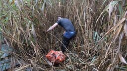 Osadzeni z Zakładu Karnego we Włodawie zbierali śmieci wokół Jeziora Białego w ramach akcji "Sprzątanie świata"