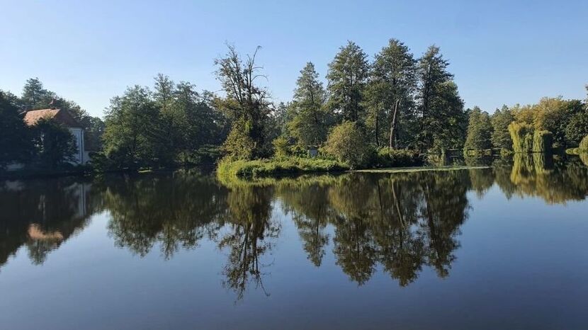 Staw przy kościele na wodzie w Zwierzyńcu