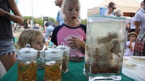 Piknik Rodzinny z Nauką za Pan Brat! Tu każdy znalazł coś dla siebie 