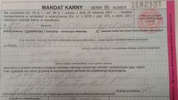 Mandat kierowcy BMW: 15 pkt karnych, utrata uprawnień do kierowania pojazdem na 3 miesiące i do zapłaty 5 tys. zł.