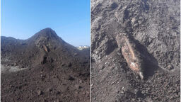 Bomba na terenie fabryki torfu