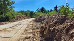 Czy deweloper wyciął drzewa bez pozwolenia żeby zbudować drogę? Wniosku nie było, a droga jest