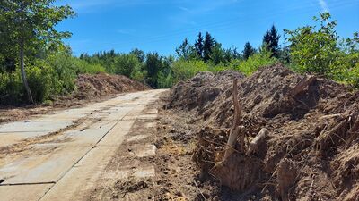 Czy deweloper wyciął drzewa bez pozwolenia żeby zbudować drogę? Wniosku nie było, a droga jest