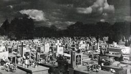 Historia lubelskich cmentarzy. Tak wyglądały w przeszłości