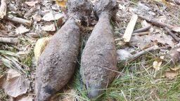 W lesie jak w arsenale. Saperzy mieli co robić