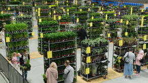 Miejska dżungla w centrum miasta. Przed nami największe targi roślin