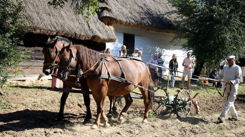 Muzeum Wsi Lubelskiej