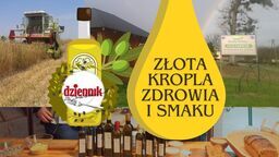 Złota kropla zdrowia i smaku - kilka słów o olejach