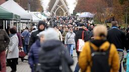 Droga do cmentarza komunalnego na Majdanku