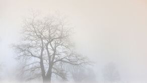 Uwaga! Gęsta mgła w całej Polsce. IMGW wydaje alerty