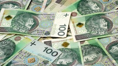 Wyczyściła bankowe konto, a gotówkę wyrzuciła do śmieci