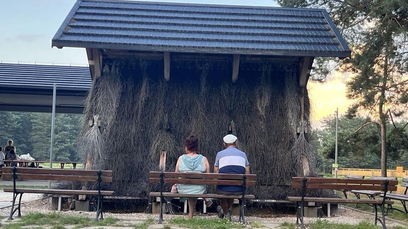 Tężnia solankowa w Jacni jest najstarszą na Zamojszczyźnie. Została otwarta jesienią w 2018 roku