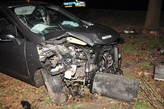 Samochód uderzył w drzewo. Trzy osoby trafiły do szpitala