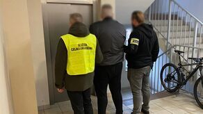 Mafia śmieciowa: 50 nielegalnych składowisk i 108 zatrzymanych   