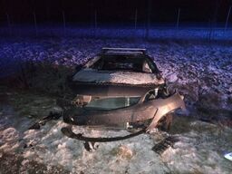 Groźny wypadek na S17 w Rykach. Łoś na drodze spowodował zderzenie