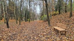 W koronach drzew! Rusza VIII edycja Zielonego Budżetu w Lublinie