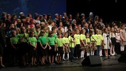 Festiwal kolęd w Puławach to jedna z najstarszych cyklicznych imprez tego rodzaju w skali kraju. Jego organizatorem jest Puławski Ośrodek Kultury