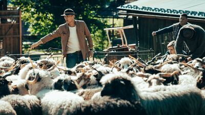 Śleboda: Nic się tu lepiej nie oglądało 