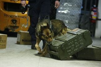 Doszkolili psich funkcjonariuszy