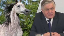 Były minister ujawnił notatkę CBA dotyczącą stadniny. Prokuratura wraca do sprawy z 2016 roku