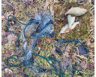 Nielegalnie łowił ryby. Dzielnicowa zatrzymała kłusownika