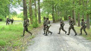 Za dwa lata Polska przeszkoli nawet 100 000 ochotników?