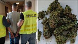 „Narcos” po chełmsku. Ponad kilogram marihuany i nielegalna uprawa