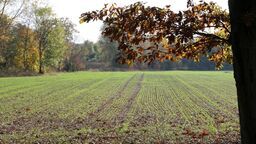 Zmiany w rolniczych instytucjach. Nowi wicedyrektorzy