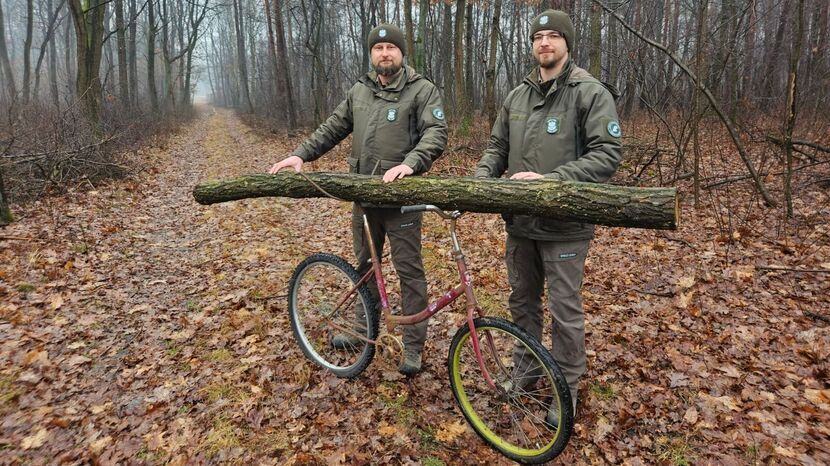 Puławscy leśnicy pozują przy starym składaku przerobionym w celu transportu drewna. Pojazd został skonfiskowany złodziejowi, który zabierał drewno z państwowego lasu